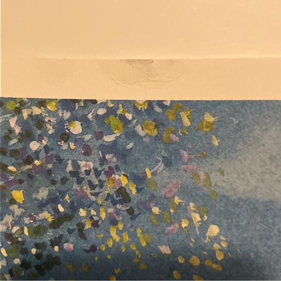 “Garden Party” Print by Chris Bollen 20.25x11.25- Unframed - Picture 7 of 11